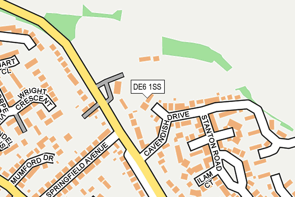 DE6 1SS map - OS OpenMap – Local (Ordnance Survey)