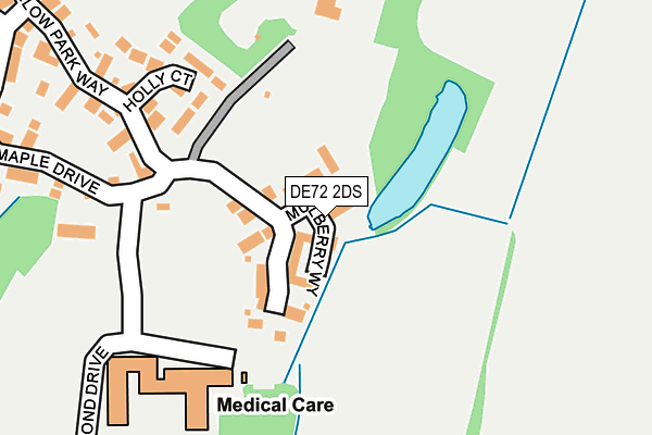 DE72 2DS map - OS OpenMap – Local (Ordnance Survey)