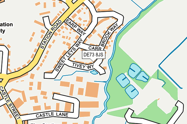 DE73 8JS map - OS OpenMap – Local (Ordnance Survey)