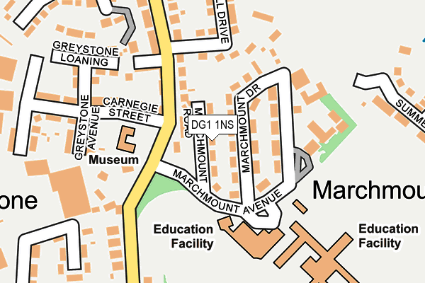 DG1 1NS map - OS OpenMap – Local (Ordnance Survey)