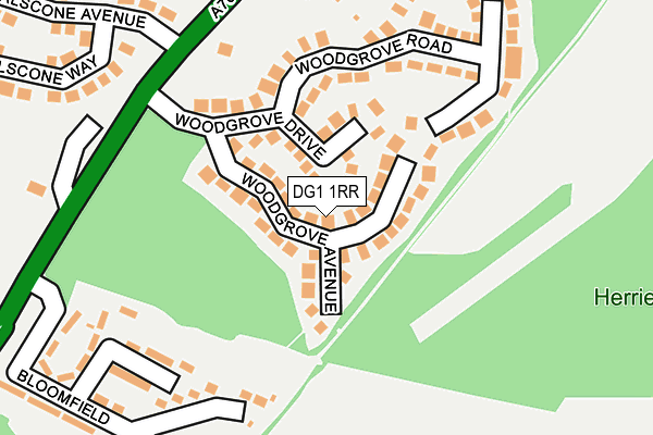 DG1 1RR map - OS OpenMap – Local (Ordnance Survey)