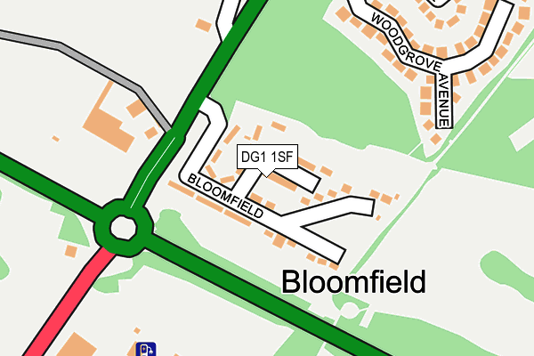 DG1 1SF map - OS OpenMap – Local (Ordnance Survey)