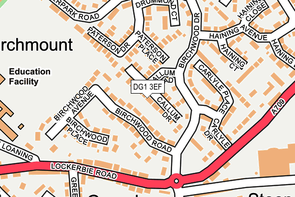 DG1 3EF map - OS OpenMap – Local (Ordnance Survey)