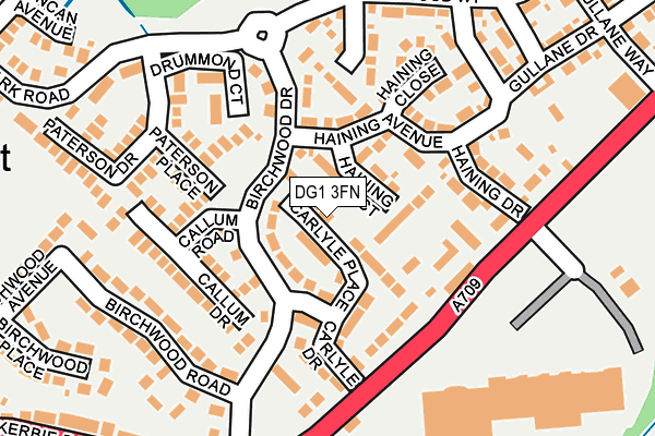 DG1 3FN map - OS OpenMap – Local (Ordnance Survey)