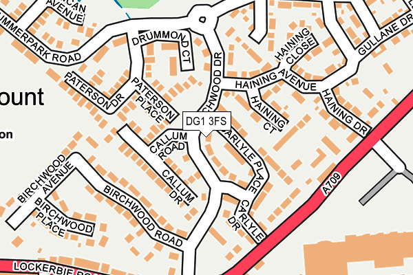 DG1 3FS map - OS OpenMap – Local (Ordnance Survey)