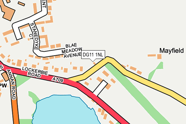 DG11 1NL map - OS OpenMap – Local (Ordnance Survey)