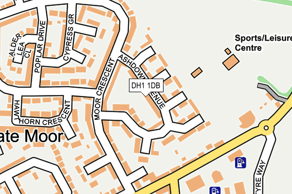 DH1 1DB map - OS OpenMap – Local (Ordnance Survey)