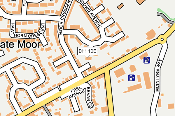 DH1 1DE map - OS OpenMap – Local (Ordnance Survey)