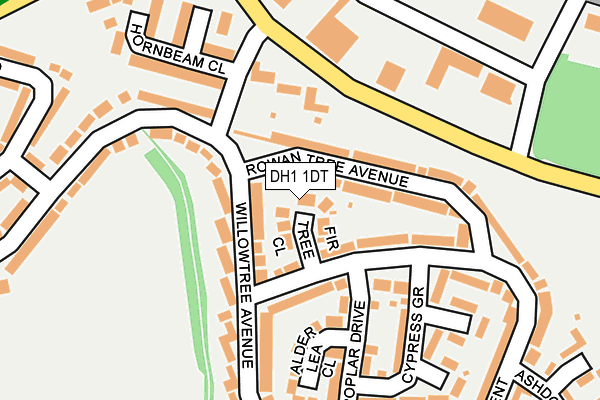 DH1 1DT map - OS OpenMap – Local (Ordnance Survey)