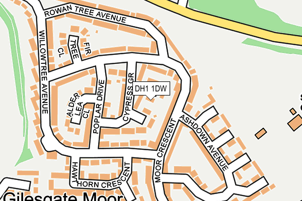 DH1 1DW map - OS OpenMap – Local (Ordnance Survey)