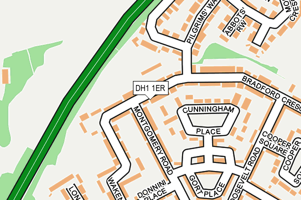 DH1 1ER map - OS OpenMap – Local (Ordnance Survey)