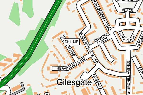 DH1 1JF map - OS OpenMap – Local (Ordnance Survey)