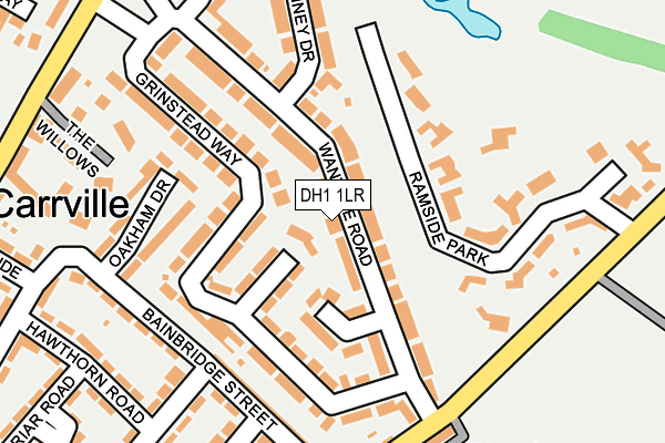 DH1 1LR map - OS OpenMap – Local (Ordnance Survey)