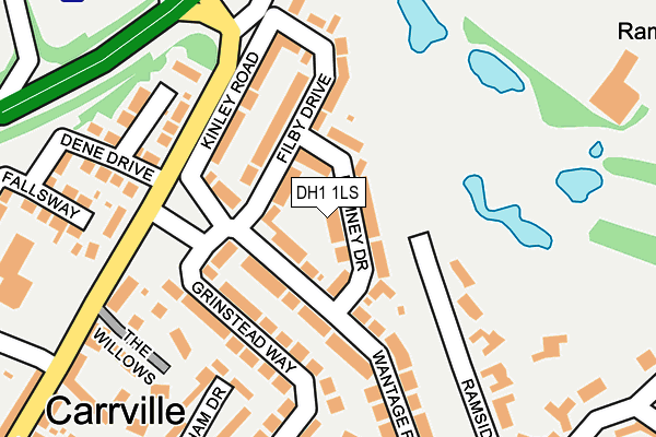 DH1 1LS map - OS OpenMap – Local (Ordnance Survey)