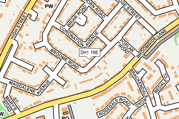 DH1 1NE map - OS OpenMap – Local (Ordnance Survey)