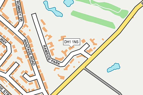 DH1 1NS map - OS OpenMap – Local (Ordnance Survey)