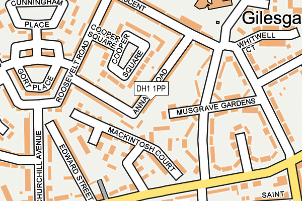 DH1 1PP map - OS OpenMap – Local (Ordnance Survey)