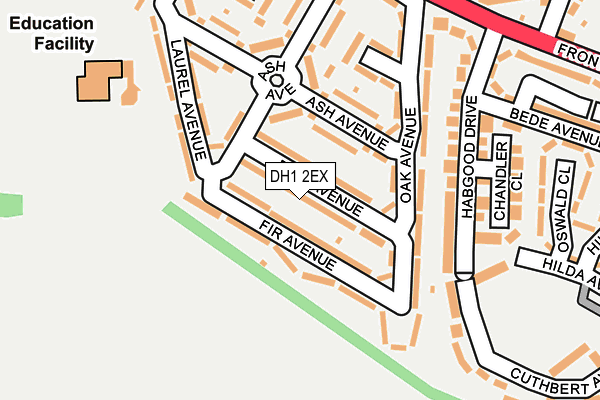 DH1 2EX map - OS OpenMap – Local (Ordnance Survey)