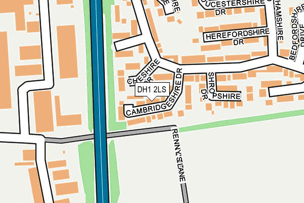 DH1 2LS map - OS OpenMap – Local (Ordnance Survey)