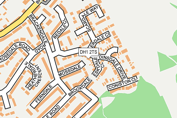 DH1 2TS map - OS OpenMap – Local (Ordnance Survey)
