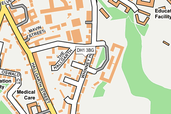 DH1 3BG map - OS OpenMap – Local (Ordnance Survey)