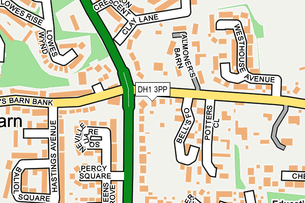 DH1 3PP map - OS OpenMap – Local (Ordnance Survey)