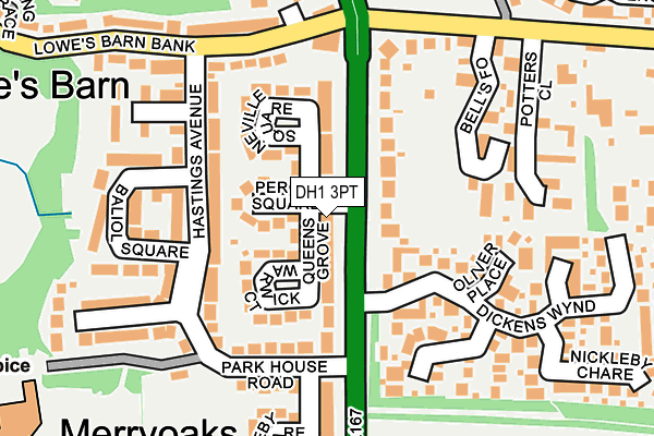 DH1 3PT map - OS OpenMap – Local (Ordnance Survey)