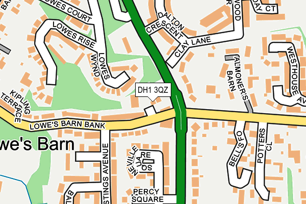 DH1 3QZ map - OS OpenMap – Local (Ordnance Survey)