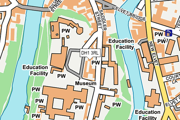 DH1 3RL map - OS OpenMap – Local (Ordnance Survey)