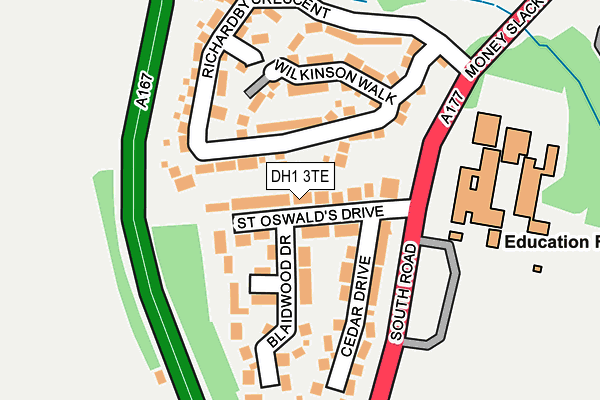 DH1 3TE map - OS OpenMap – Local (Ordnance Survey)