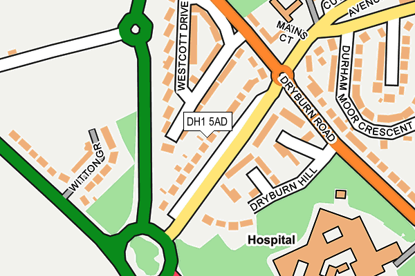 DH1 5AD map - OS OpenMap – Local (Ordnance Survey)