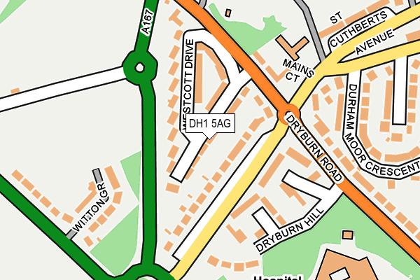 DH1 5AG map - OS OpenMap – Local (Ordnance Survey)