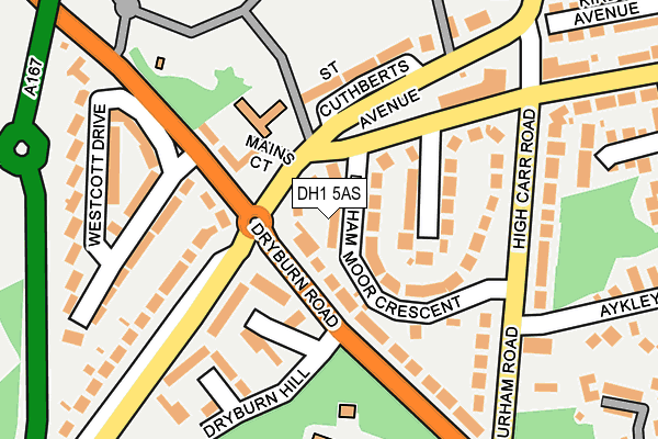 DH1 5AS map - OS OpenMap – Local (Ordnance Survey)