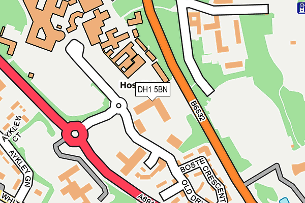 DH1 5BN map - OS OpenMap – Local (Ordnance Survey)