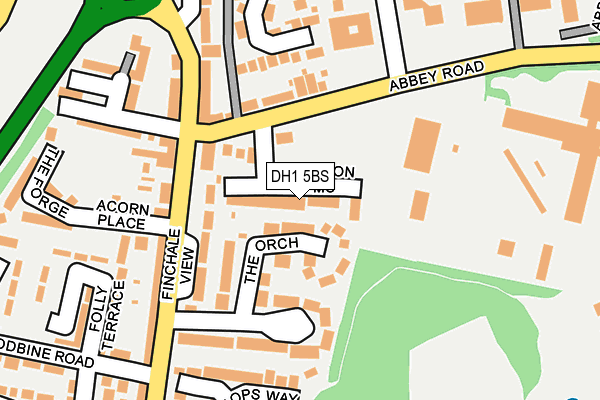 DH1 5BS map - OS OpenMap – Local (Ordnance Survey)