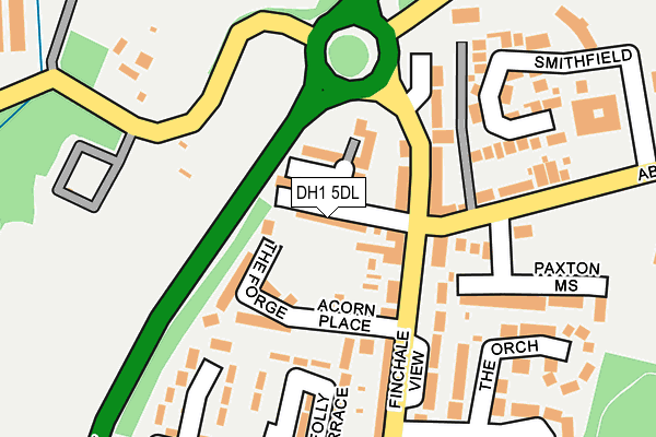 DH1 5DL map - OS OpenMap – Local (Ordnance Survey)
