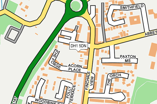 DH1 5DN map - OS OpenMap – Local (Ordnance Survey)