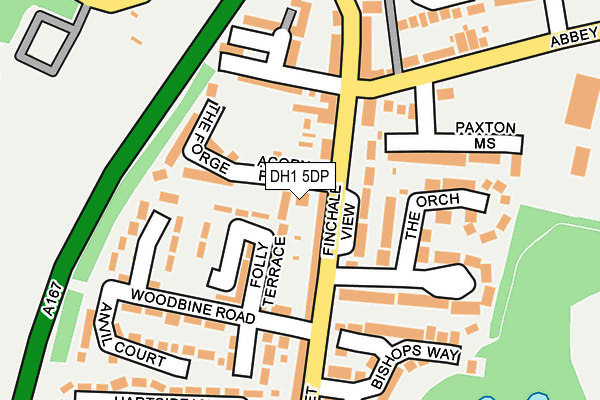 DH1 5DP map - OS OpenMap – Local (Ordnance Survey)