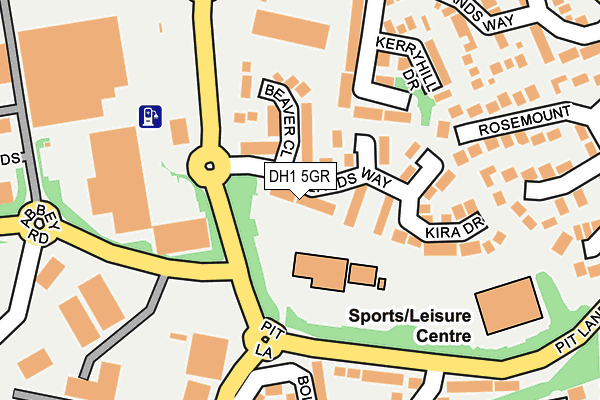 DH1 5GR map - OS OpenMap – Local (Ordnance Survey)