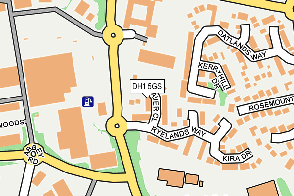 DH1 5GS map - OS OpenMap – Local (Ordnance Survey)