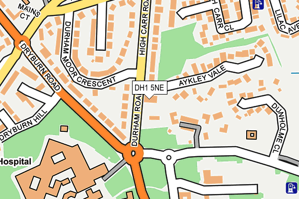 DH1 5NE map - OS OpenMap – Local (Ordnance Survey)
