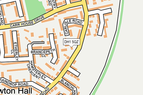 DH1 5QZ map - OS OpenMap – Local (Ordnance Survey)