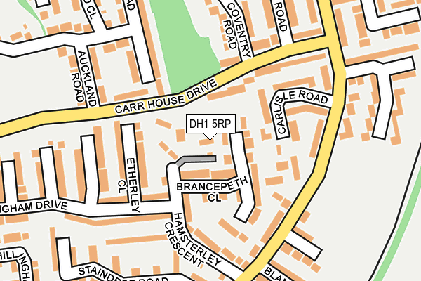 DH1 5RP map - OS OpenMap – Local (Ordnance Survey)