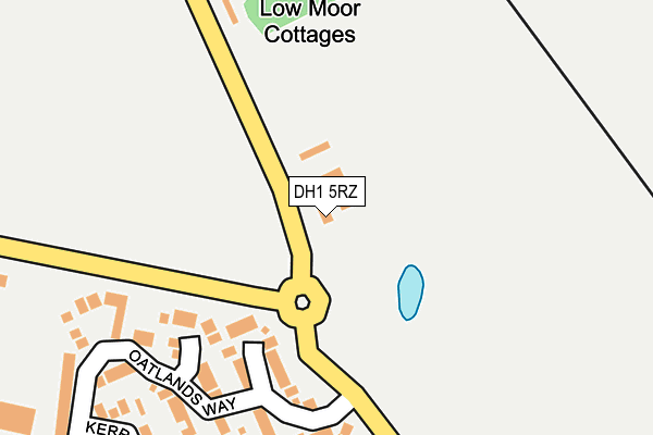 DH1 5RZ map - OS OpenMap – Local (Ordnance Survey)