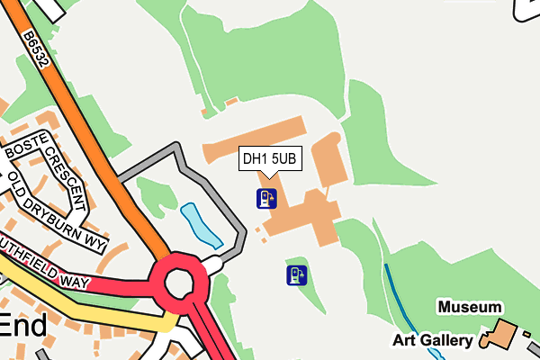 DH1 5UB map - OS OpenMap – Local (Ordnance Survey)