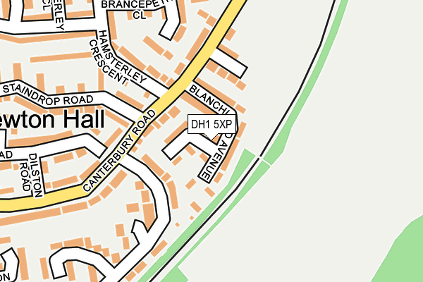 DH1 5XP map - OS OpenMap – Local (Ordnance Survey)