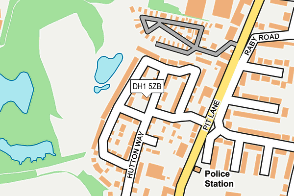 DH1 5ZB map - OS OpenMap – Local (Ordnance Survey)