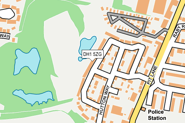 DH1 5ZG map - OS OpenMap – Local (Ordnance Survey)