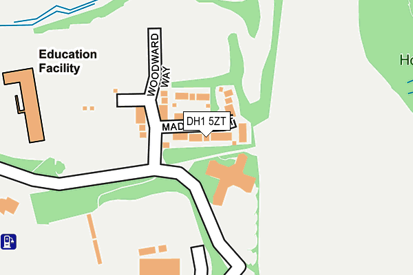 DH1 5ZT map - OS OpenMap – Local (Ordnance Survey)