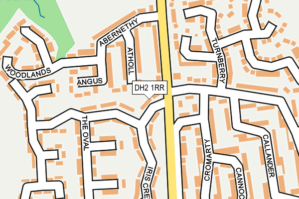 DH2 1RR map - OS OpenMap – Local (Ordnance Survey)